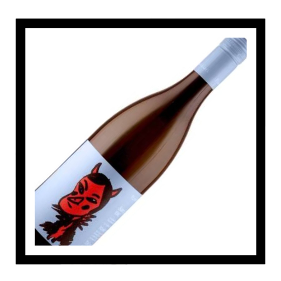 Sauvignon Blanc, Fink & Kotzian, Autriche