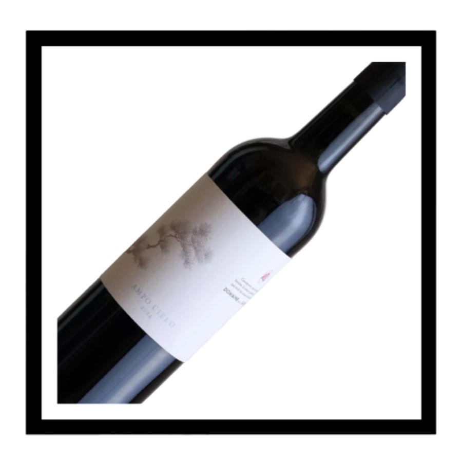 Malepère 'Ampo Cielo', Domaine de la Sapinière